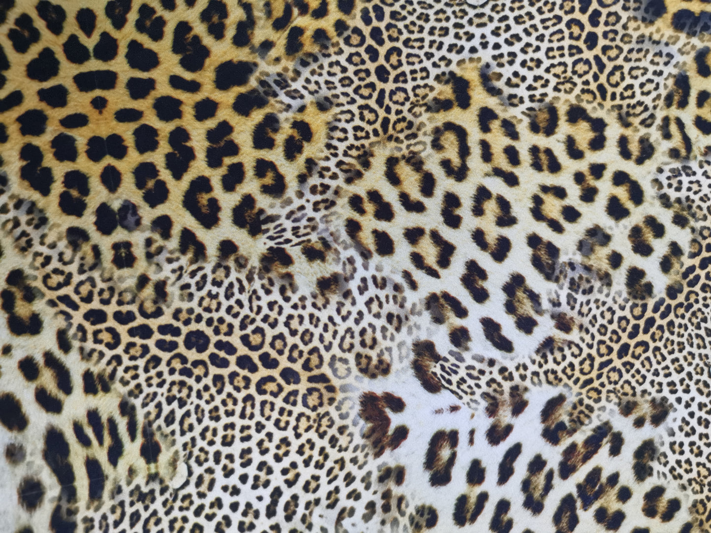 Latin set includes skirt and crop top